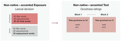 Using Rational Models to Interpret the Results of Experiments on Accent Adaptation